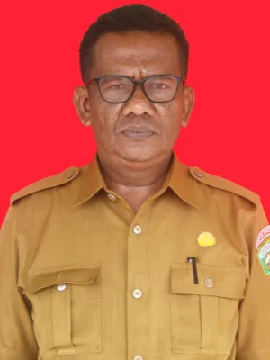 Nafion, S.Pd., M.Si