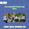Guru Inspiratif: Teladan bagi Siswa